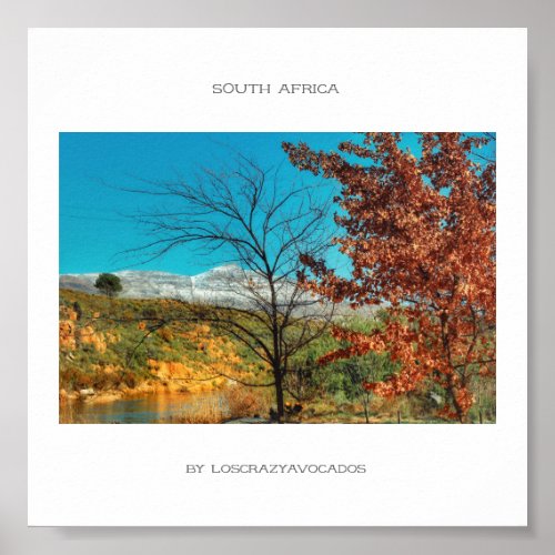 South Africa Winter Autumn Landscape Snow Poster