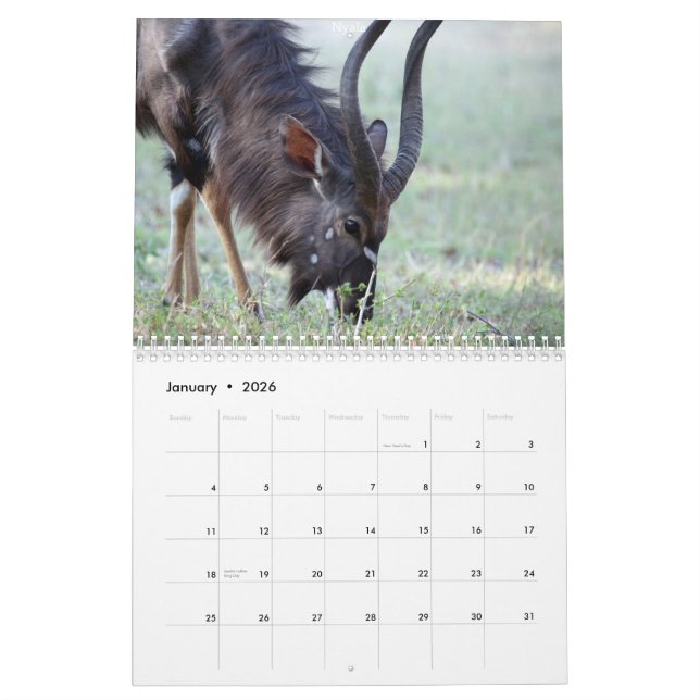 South African Animals Calendar (Jan 2026)