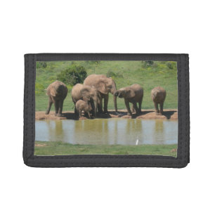 South African Elephants Wallet