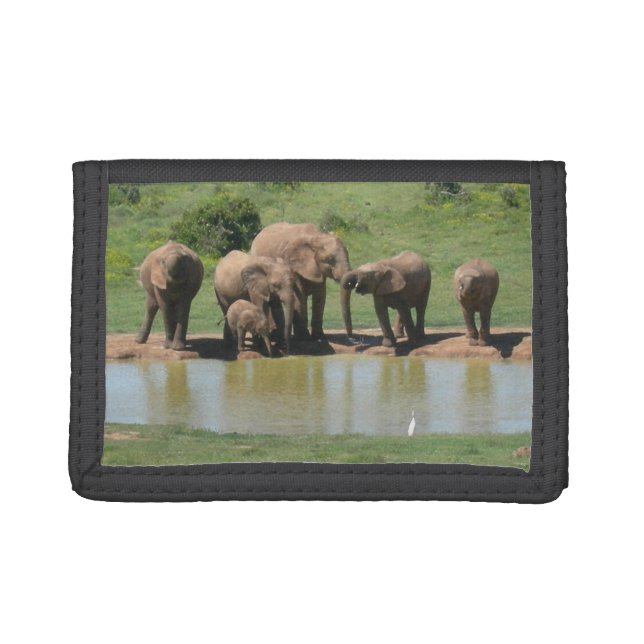 South African Elephants Wallet (Front)