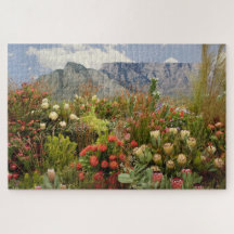 South African floral display of wildflowers