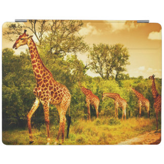 South African giraffes iPad Smart Cover