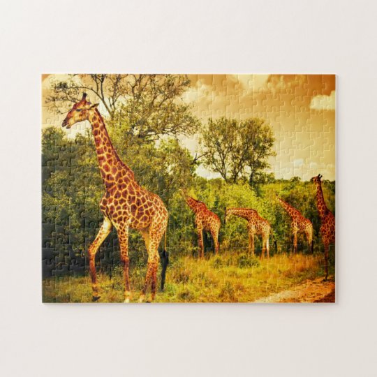 South African giraffes Jigsaw Puzzle