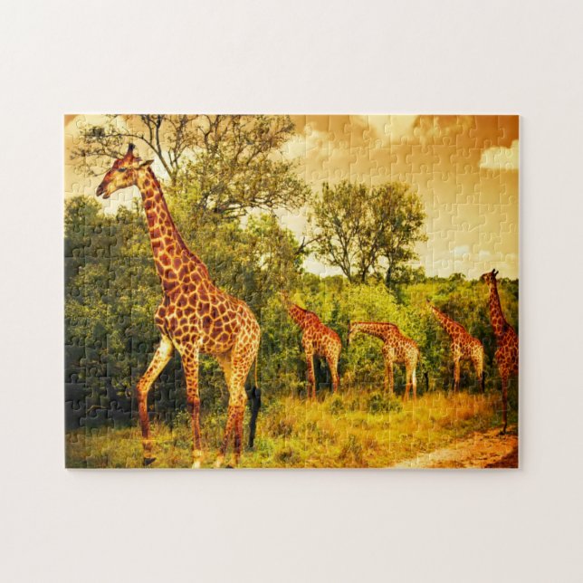 South African giraffes Jigsaw Puzzle (Horizontal)
