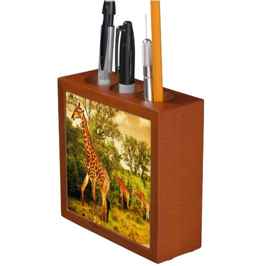 South African Giraffes Pencil Pen Holder Zazzle Com South African Giraffes Pencil Pen