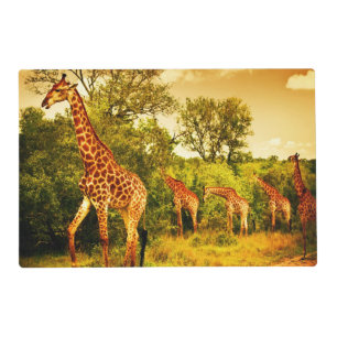South African giraffes Placemat