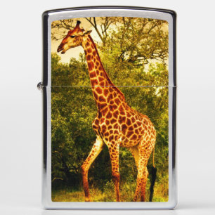 South African giraffes Zippo Lighter