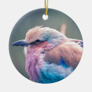 South African Lilac-Breasted Roller Ceramic Ornament