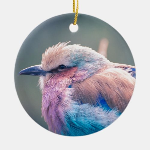 South African Lilac_Breasted Roller Ceramic Ornament