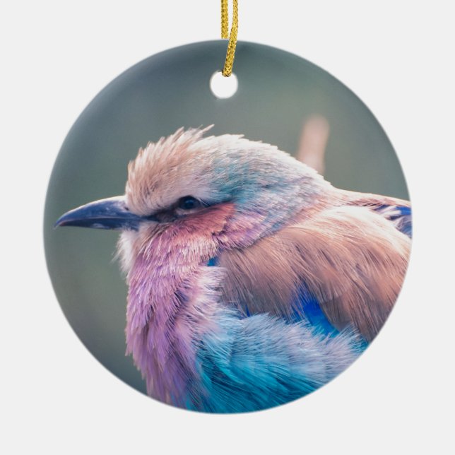 South African Lilac-Breasted Roller Ceramic Ornament (Front)