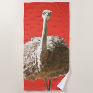 South African Ostrich Beach Towel