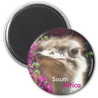South African Ostrich Customizable Magnet