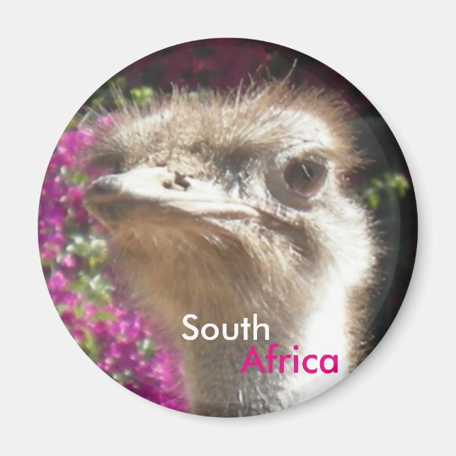 South African Ostrich Customizable Magnet (Front)