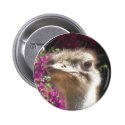 South African Ostrich Face Button