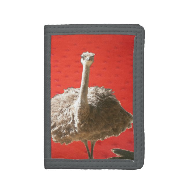 South African Ostrich Wallet