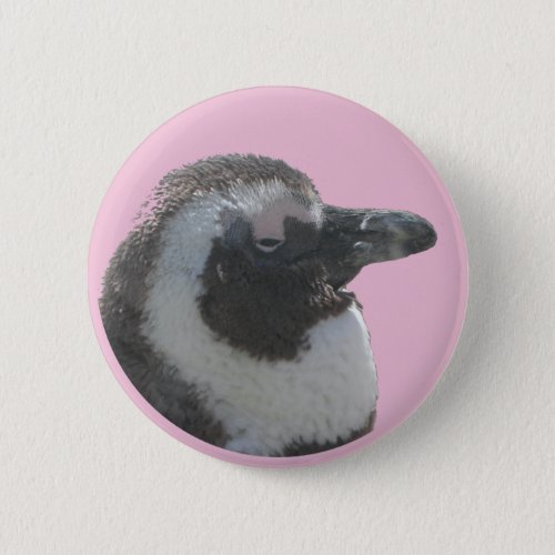 South African Penguin Customizable Button