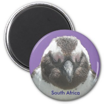 South African Penguin Face Customizable Magnet by Edelhertdesigntravel at Zazzle