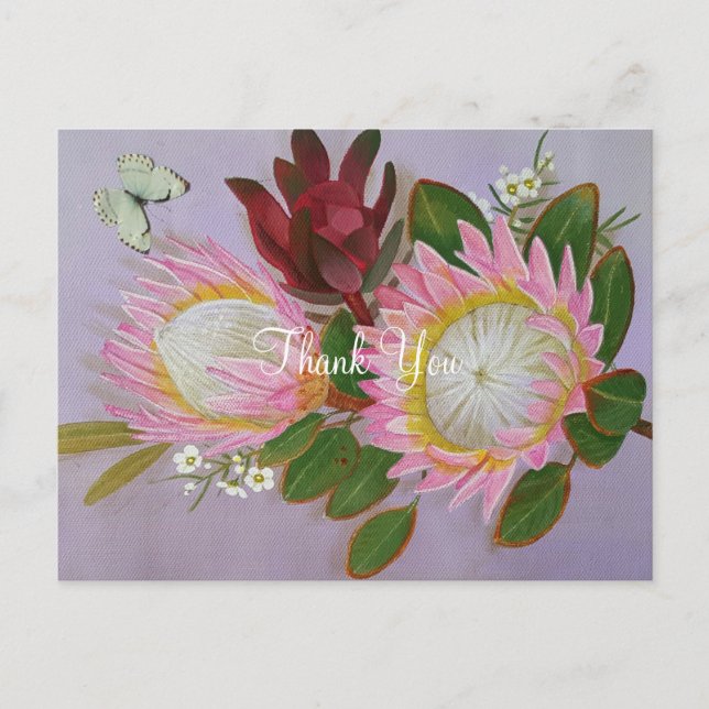 South African Proteas Thank You Postcard (Front)