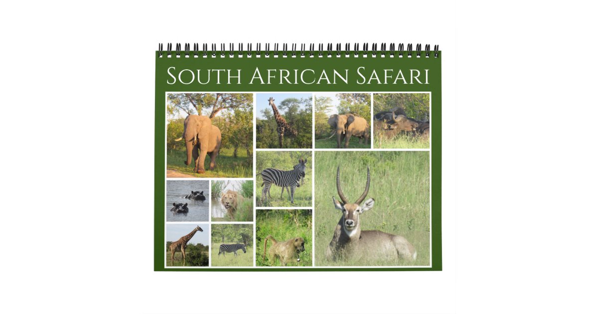 safari holidays may 2023