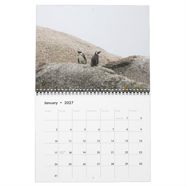 South African Safari Calendar (Jan 2027)