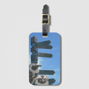 South African Signpost + Penguins Luggage Tag