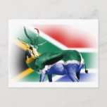 South African Springbock Flag Postcard at Zazzle
