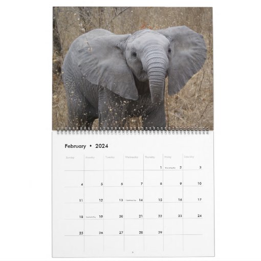 South African Wildlife Calendar | Zazzle