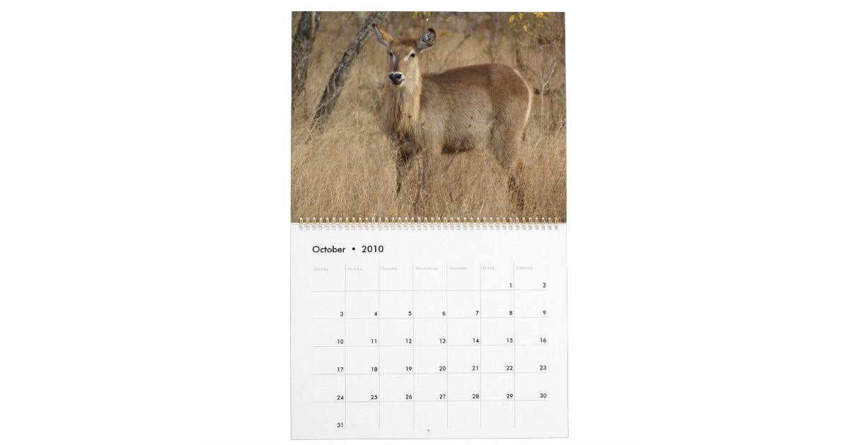 South African Wildlife Calendar | Zazzle