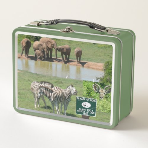 South African Zebras and Lions Lunchbox