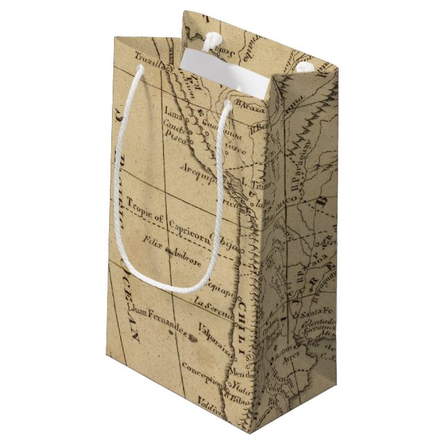 South America 12 Small Gift Bag (Back Angled)