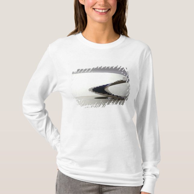 South America, Brazil, Brasilia. Interior T-Shirt (Front)
