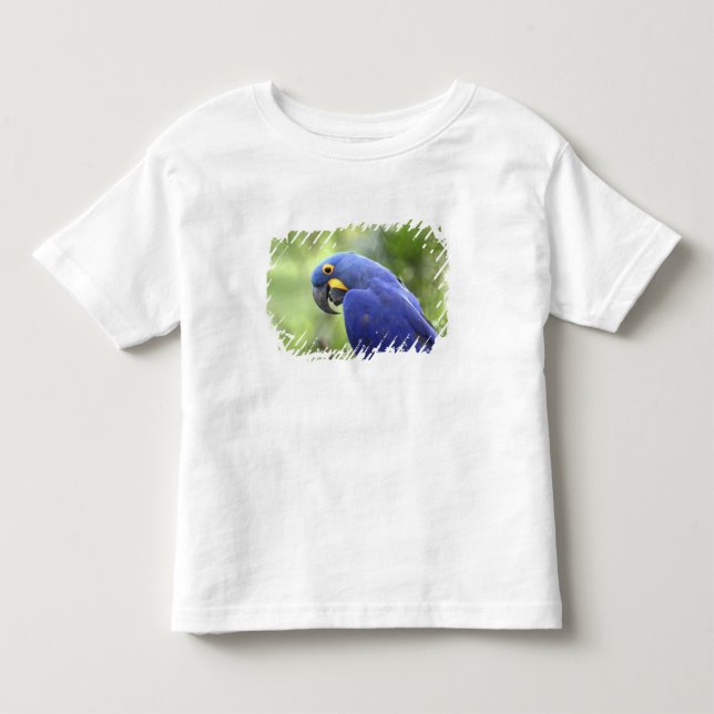 South America, Brazil, Pantanal Toddler T-shirt (Front)