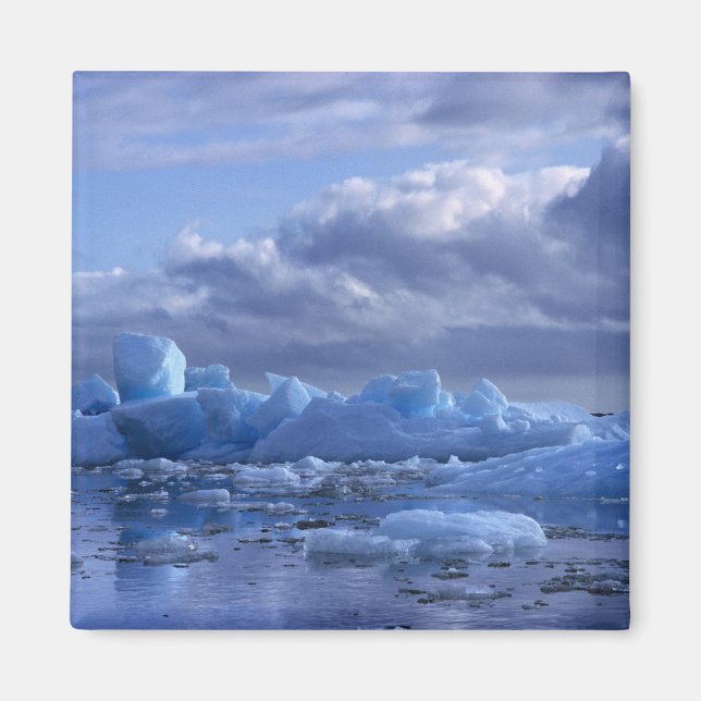 South America, Chile, San Rafael Lagoon NP. Magnet (Front)