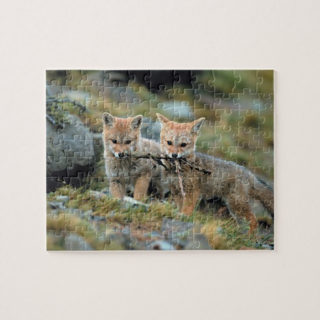 South America, Chile, Torres del Paine National Jigsaw Puzzle (Horizontal)