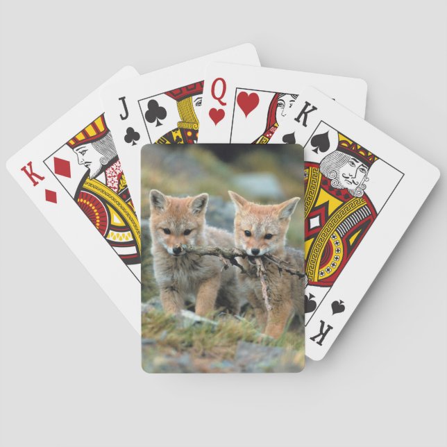 South America, Chile, Torres del Paine National Poker Cards (Back)