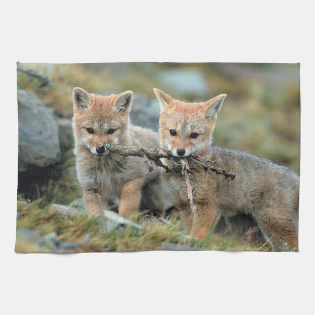 South America, Chile, Torres del Paine National Towel (Horizontal)