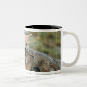 South America, Chile, Torres del Paine National Two-Tone Coffee Mug