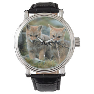 South America, Chile, Torres del Paine National Watch