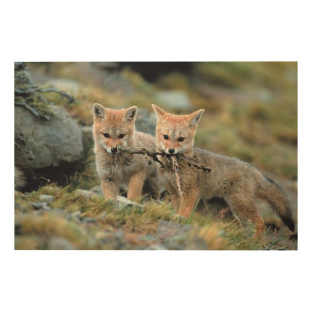 South America, Chile, Torres del Paine National Wood Wall Decor (Front)