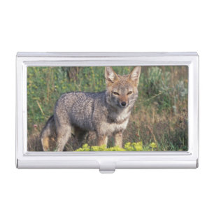South America, Chile, Torres del Paine NP, Business Card Case