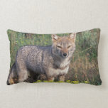 South America, Chile, Torres del Paine NP, Lumbar Pillow South America, Chile, Torres del Paine NP, Lumbar Pillow