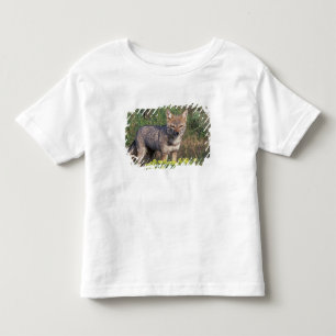 South America, Chile, Torres del Paine NP, Toddler T-shirt