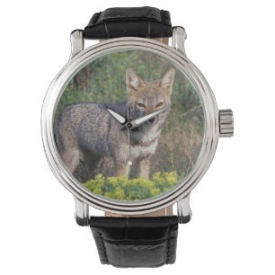 South America, Chile, Torres del Paine NP, Watch