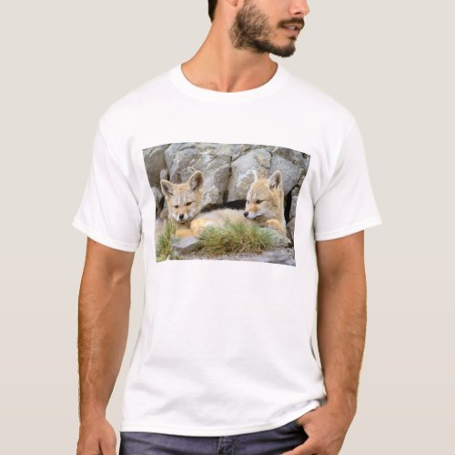 South America Chile Torres del Paine T_Shirt