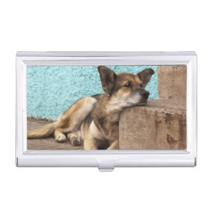 South America, Chile, Valparaiso. German Business Card Case