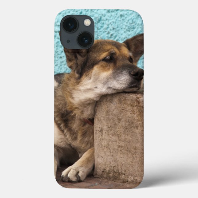 South America, Chile, Valparaiso. German Case-Mate iPhone Case (Back)