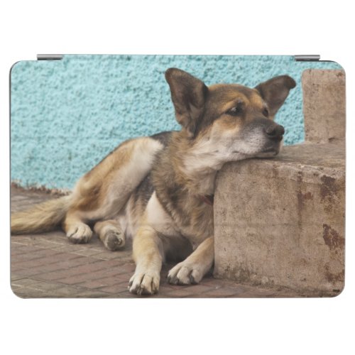 South America Chile Valparaiso German iPad Air Cover