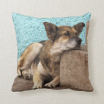 South America, Chile, Valparaiso. German Throw Pillow South America, Chile, Valparaiso. German Throw Pillow