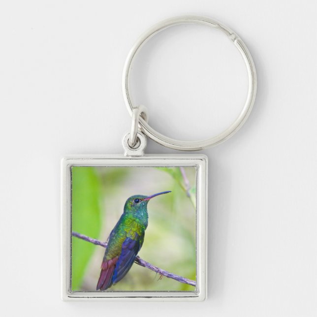 South America, Costa Rica, Sarapiqui, La Selva Keychain (Front)