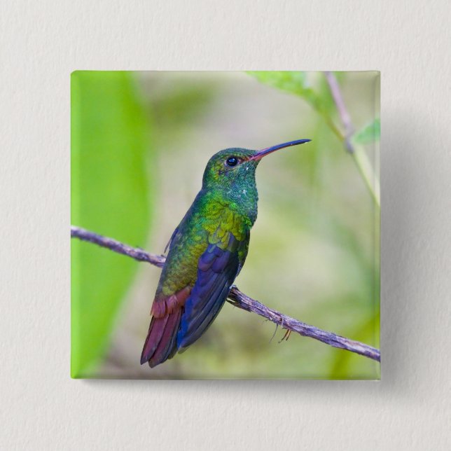 South America, Costa Rica, Sarapiqui, La Selva Pinback Button (Front)